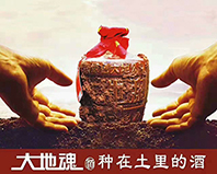 mmexport1493007209496.jpg