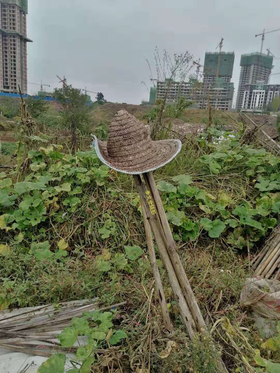 ¥и.jpg