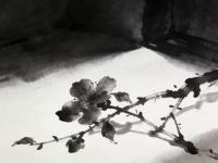 �ܽ�����С˵ʮ��