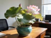 κ������С˵����