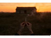 ��ͬʤ��С˵����